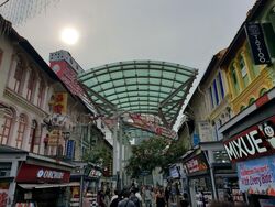 Trengganu Street (D1), Shop House #568229351